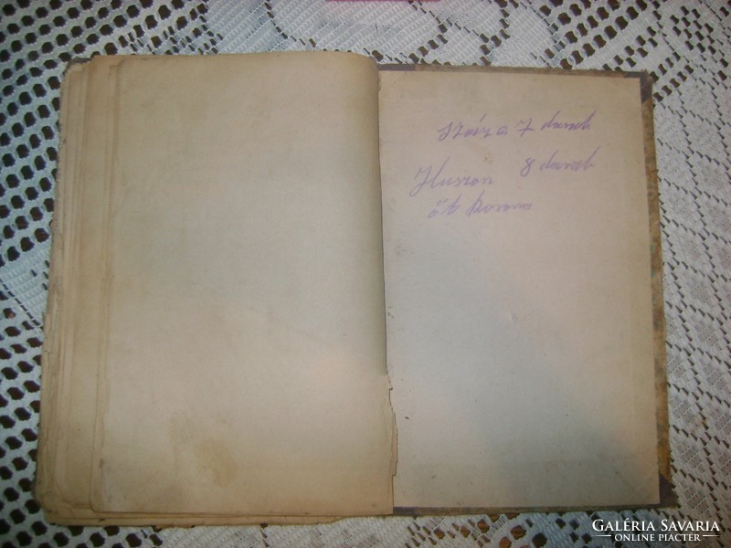 Sz. Kovács Pál: Otthon - rajzok, tárcacikkek - antik könyv