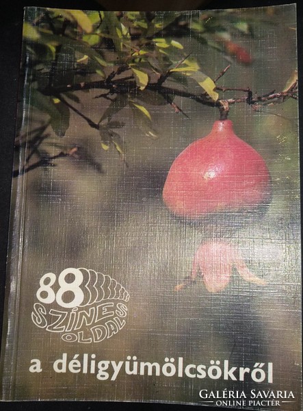 88 Colorful pages about southern fruits, recommend!