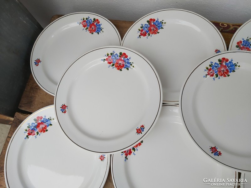 10 pcs granite flower plates, flat plate, plate set, nostalgia piece, peasant decoration