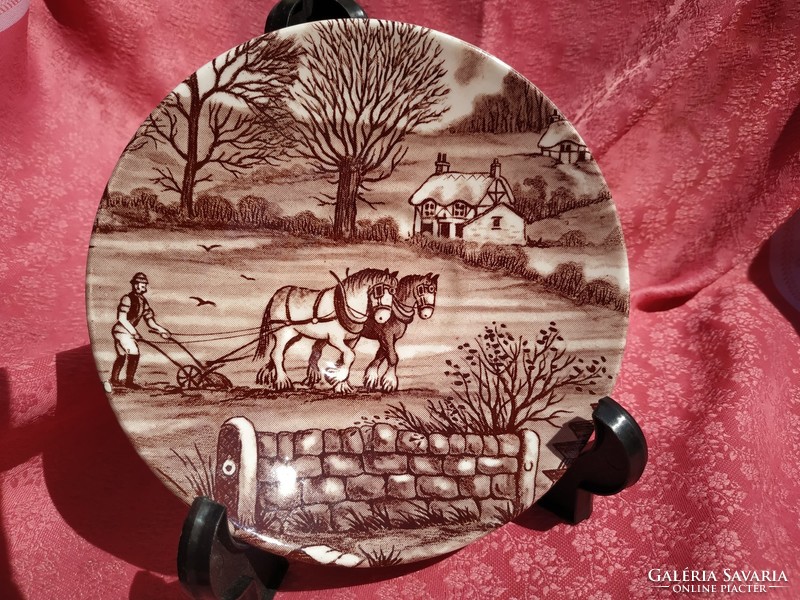 16 pcs English porcelain, brown, scene set