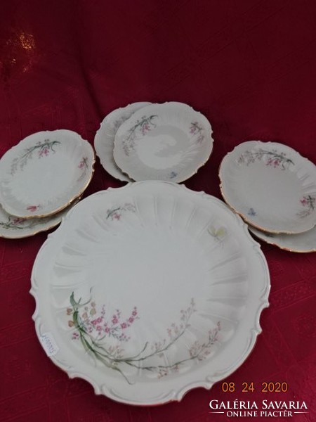 Schwarzenhammer German porcelain antique cake set. His serial number is 35. There are!