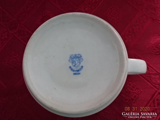 Alföldi porcelain mug with rosehip pattern. He has!