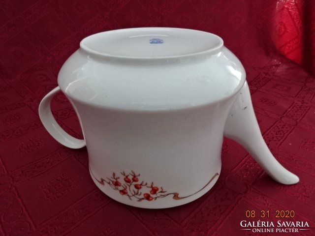 Alföldi porcelain teapot with rosehip pattern, without lid. He has!