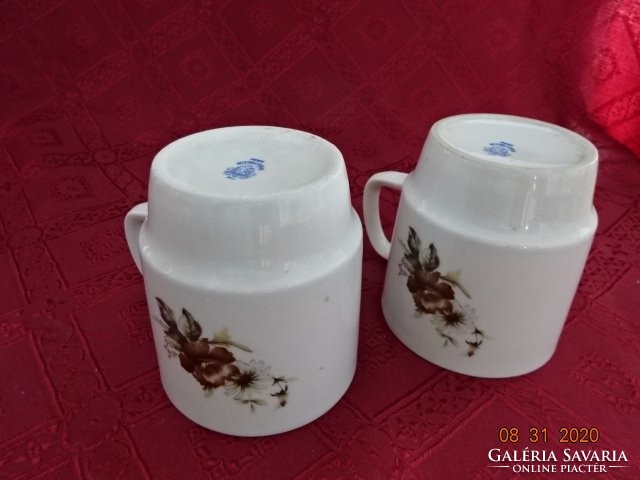Alföldi porcelain mug with a rose pattern. He has!