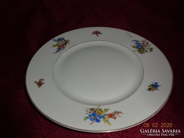 Schönwald German porcelain, antique flat plate. He has!
