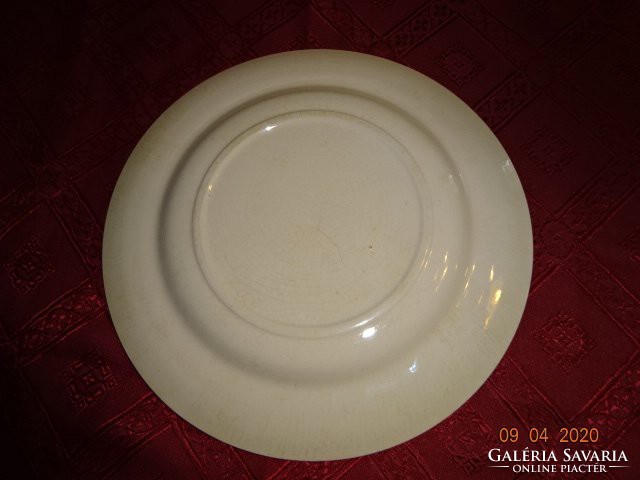 German porcelain onion pattern plate, diameter 25.3 cm. He has!