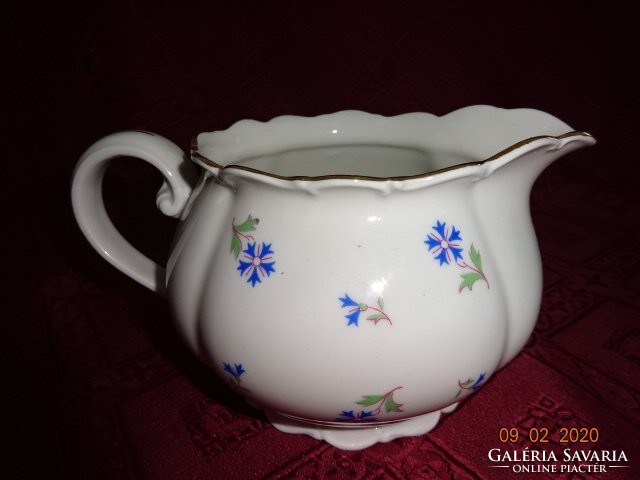 Czechoslovak porcelain, five-person tea set, blue floral. He has!
