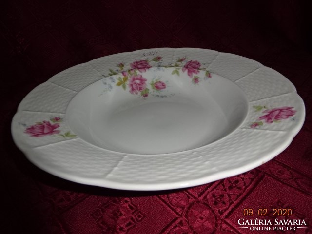 Tk thun Czechoslovak first-class deep plate with a rose pattern. It has great depth. He has!