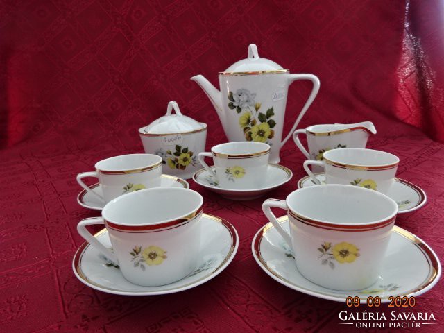 Raven house porcelain, coffee set for five people, yellow floral. He has!
