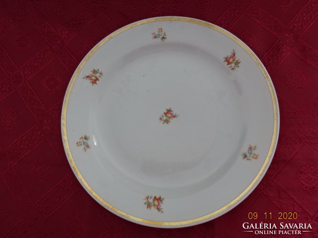 Zsolnay porcelain plate with gold border. He has!