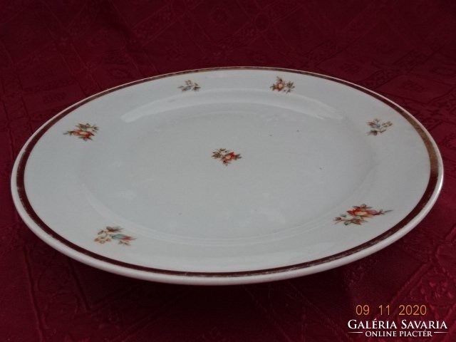 Zsolnay porcelain plate with gold border. He has!