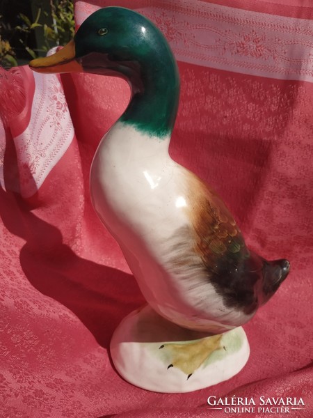 Large porcelain duck, nipp