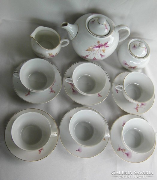 Hollóháza porcelain 6-person tea set tea set decorated with pink flowers