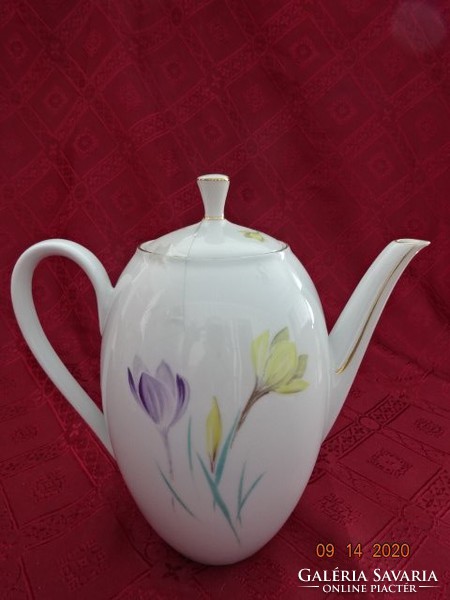 Winterling Bavarian German porcelain teapot, height 21 cm. He has!