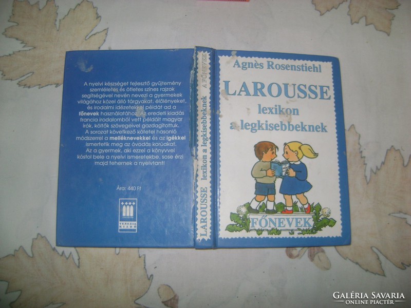 Rosenstiehl: LAROUSSE - lexikon a legkisebbeknek - 1993