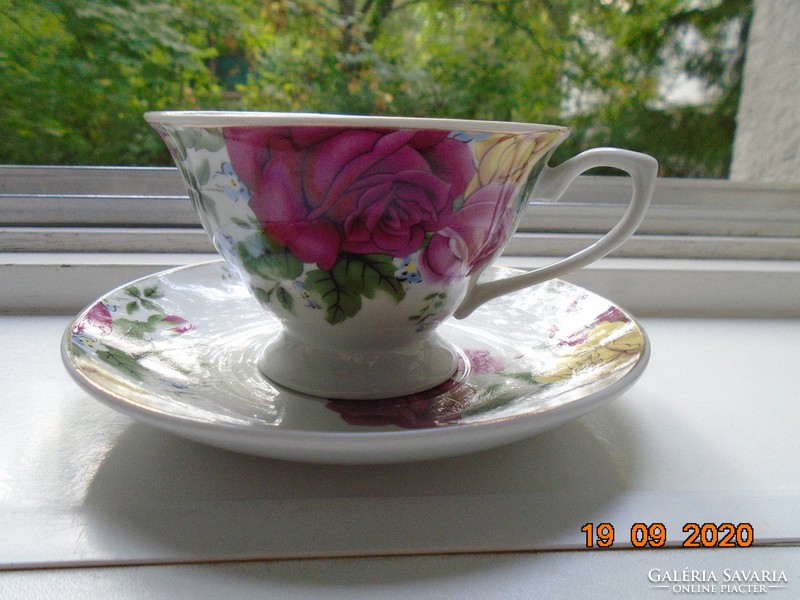 Spectacular roses with saucers and cups