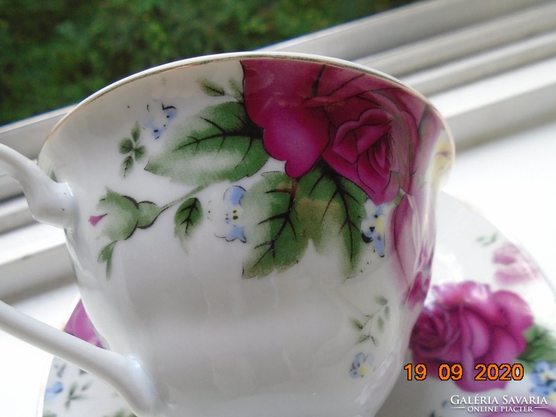 Spectacular roses with saucers and cups