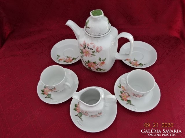 Winterling Bavarian German porcelain tea set for two, peach blossom. He has!