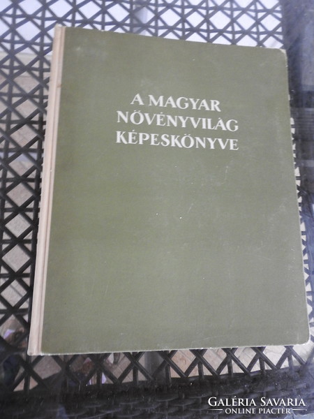 A Magyar Növényvilág Képeskönyve