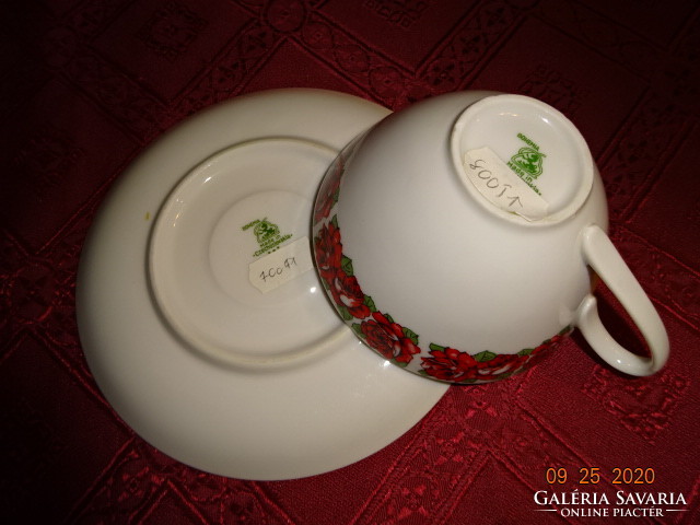 Bohemia Czechoslovak porcelain rose patterned tea cup + saucer. He has!