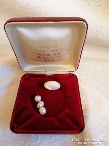 3D real pearls and a large oval polished shell