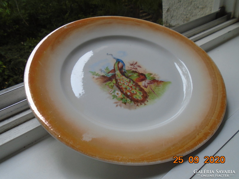 Zsolnay peacock patterned eosin glazed plate