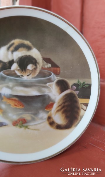 Collectible animal, kitten, cat, fish, aquarium plate, beautiful beauty