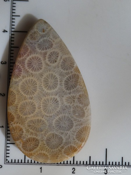 Natural fossil coral. Polished cabochon. 8 Grams