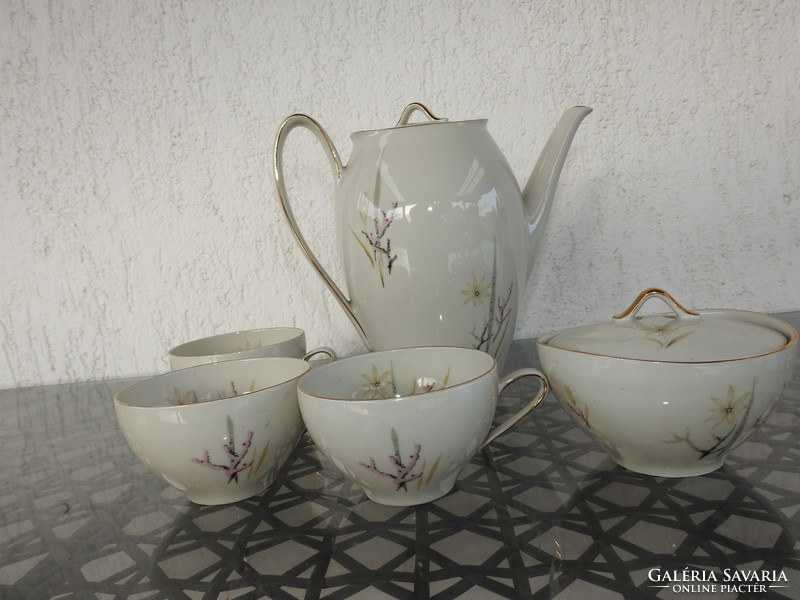 Bavaria autumn pattern tea set for 3 people