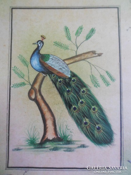 Ismeretlen művész: Gyönyörű pávás, madaras 2 db festmény párban
