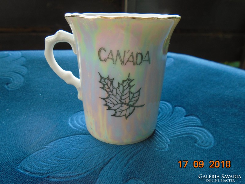 Souvenir cup with the Niagara Falls and the national symbol of Canada, the maple leaf
