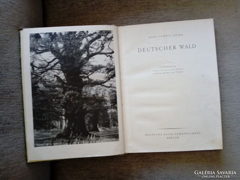 Hans Ludwig Oeser: Deutscher Wald (1941)