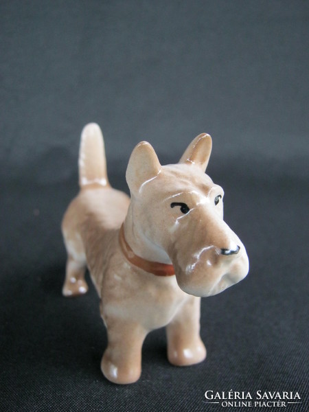 Aquincumi porcelán foxi kutya