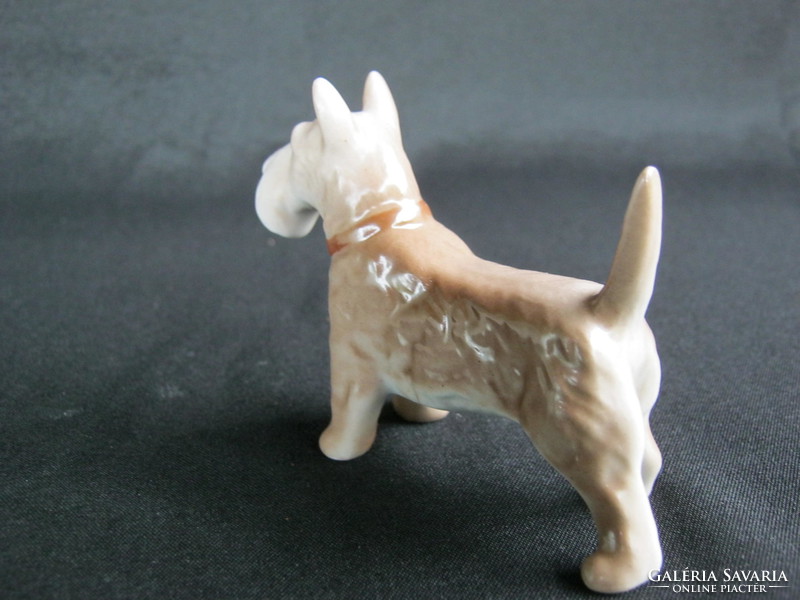 Aquincumi porcelán foxi kutya