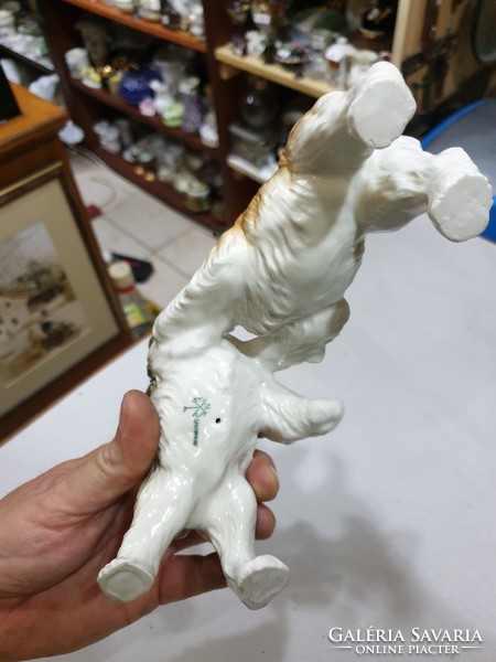 Régi ENSZ porcelán kutya 