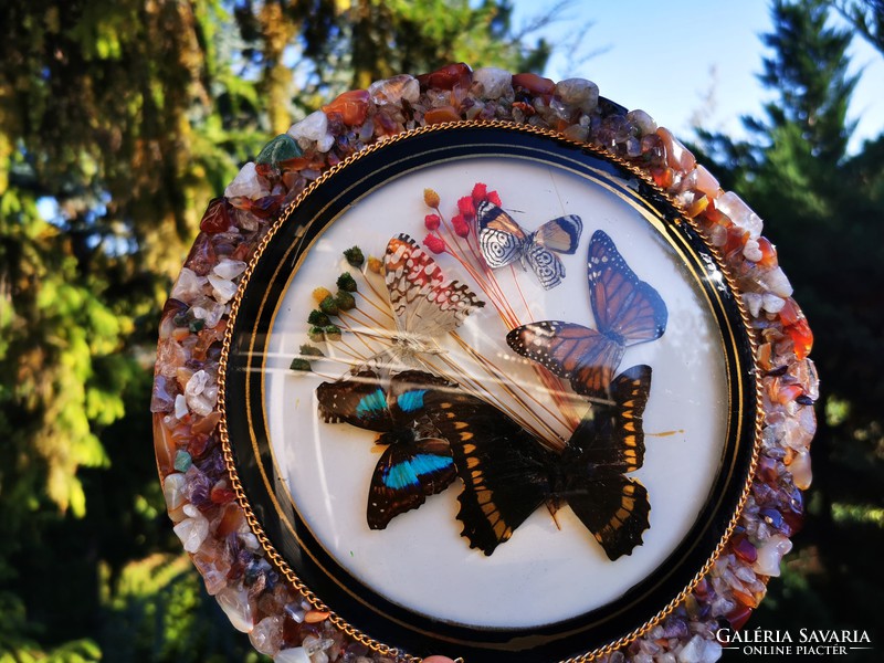 Butterfly wall decoration