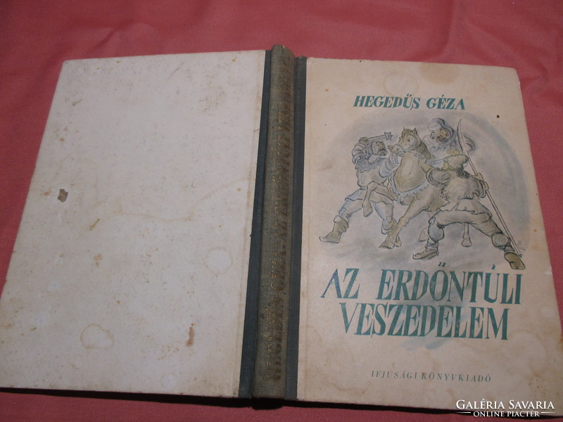 Violin Géza is a danger beyond the forest, book
