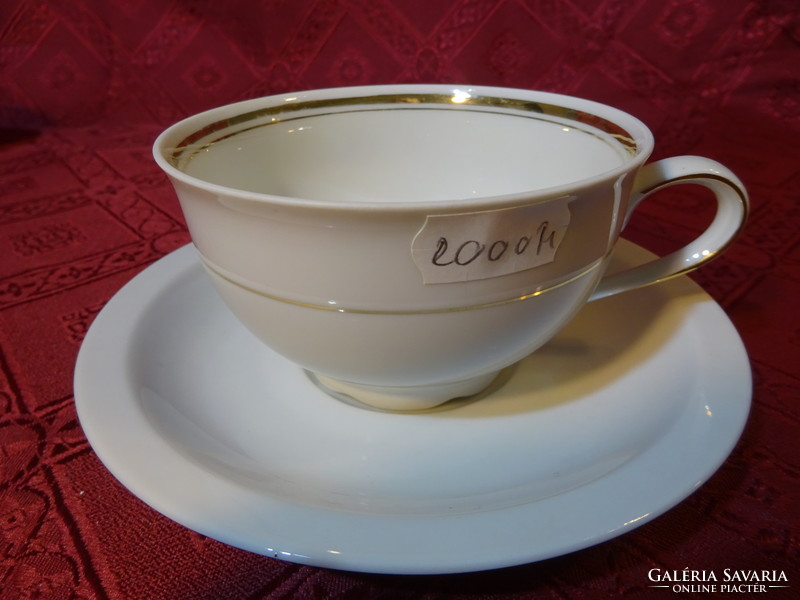 Bareuther Bavarian German porcelain teacup + saucer, with gold stripe. 6 in one. He has!