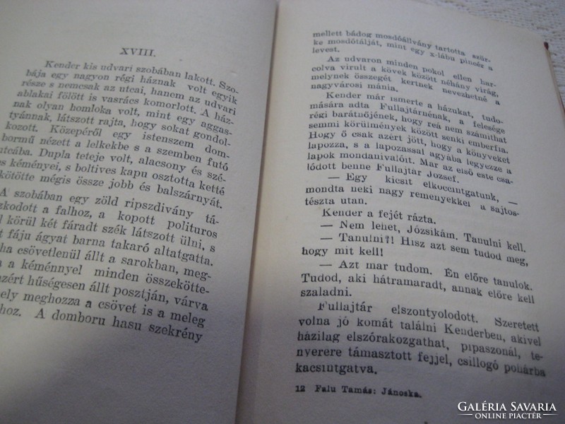 Falu Tamás :  Jánoska  című  regénye , 1929.