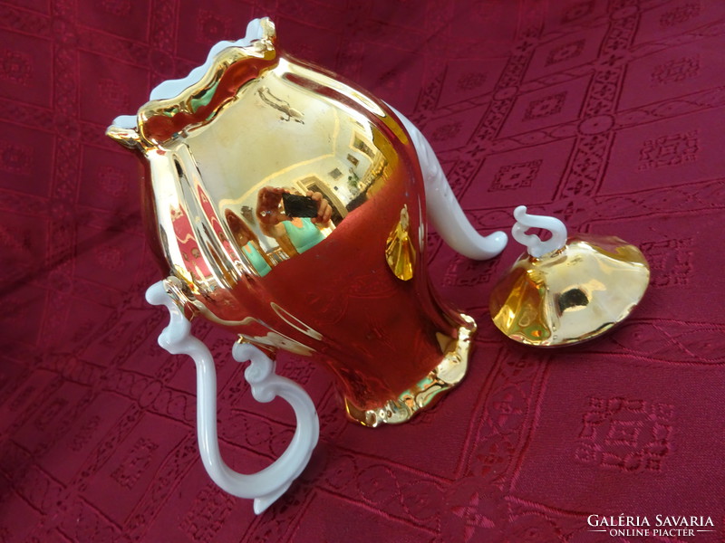 Mayer wiesau bavaria german porcelain coffee pourer, gilded. He has!