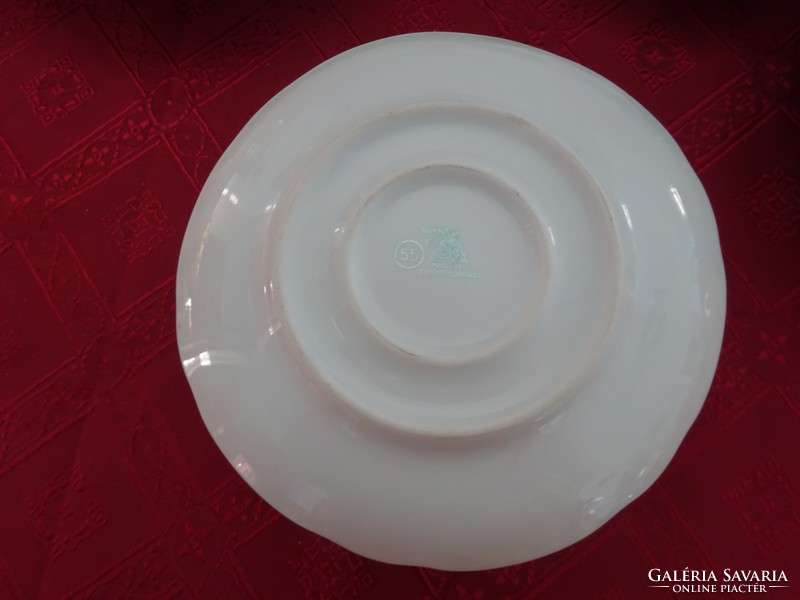 Bohemia Czechoslovak porcelain tableware with tereza, 24 pieces. He has!