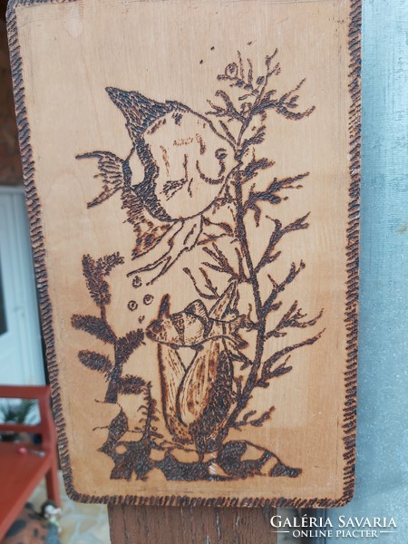 Transylvanian tibor sign on wooden beautiful fish image, collector beauty