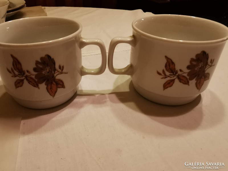 Zsolnay porcelain brown flower patterned mug