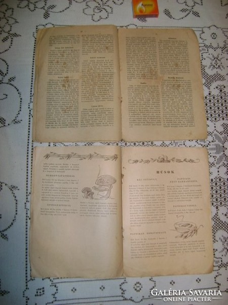 Régi szakácskönyv, füzet - Hunyady E.:A jó házi konyha,  Dr. Herczegh: Paprika a konyhában - két dar