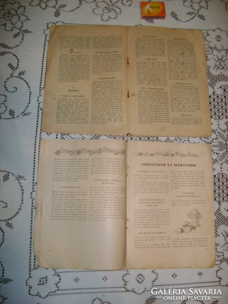 Régi szakácskönyv, füzet - Hunyady E.:A jó házi konyha,  Dr. Herczegh: Paprika a konyhában - két dar