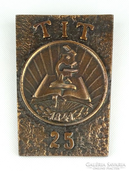 1C769 Tudományos Ismeretterjesztő Társulat 1841 TIT 25 bronzozott relief