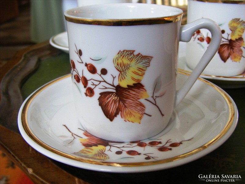 Rare! Ravenhouse mocha, coffee set with autumn patterned decor