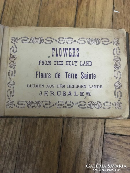The Flowers of the Holy Land is a fabulous wood-covered book from the 1950s