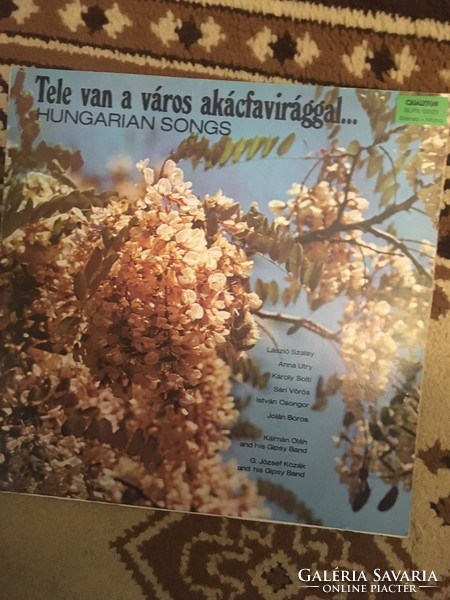 The city is full of acacia flowers vinyl record!
