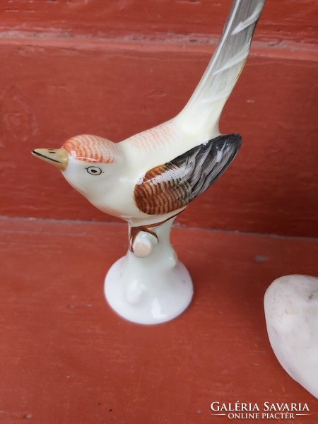 Rarely raven house bird, nipple, figurine, porcelain, collectibles